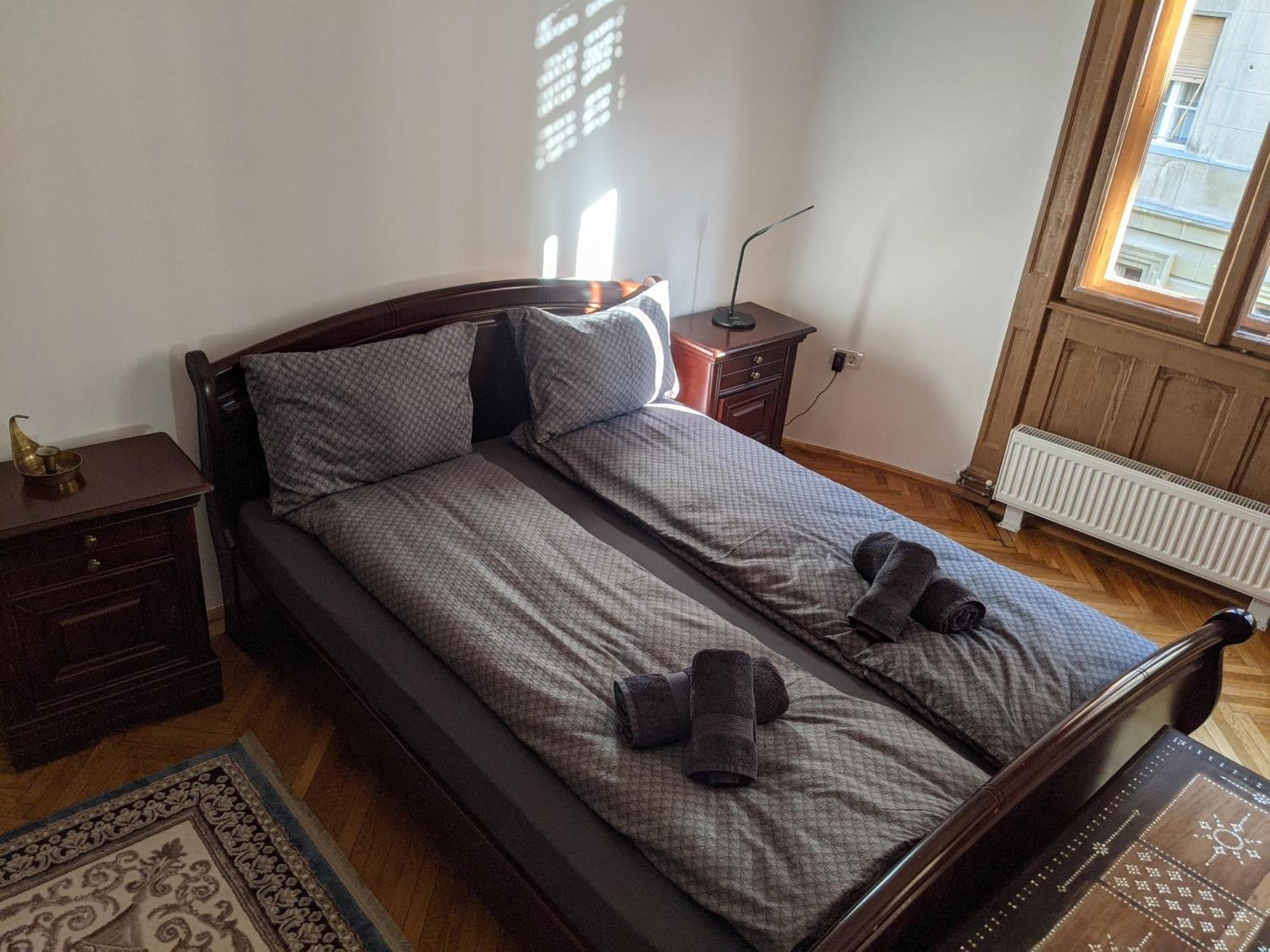 Ultra-Central Apartment In The Loffler Palace Тимишоара Экстерьер фото